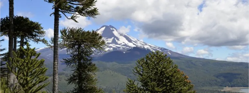 Corte Suprema declara que Bienes Nacionales no puede entregar predios privados a comunidad indígena | Abogados en Puerto Montt - Servicios y Asesorías Legales Puerto Montt